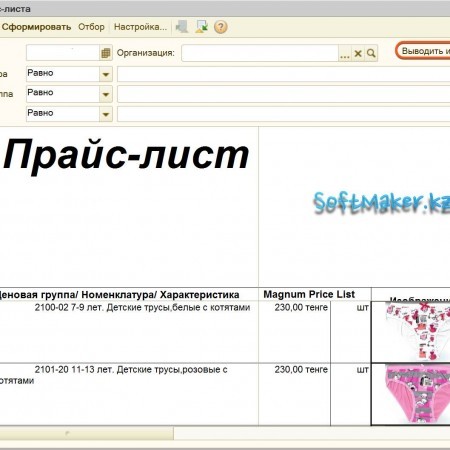 Вывод картинок в отчет 1с